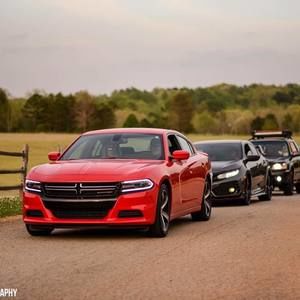 Meet your Posher, Norm-susie